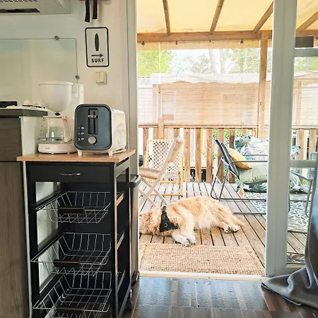 Cosy Mobil Foret Et Camping Capbreton